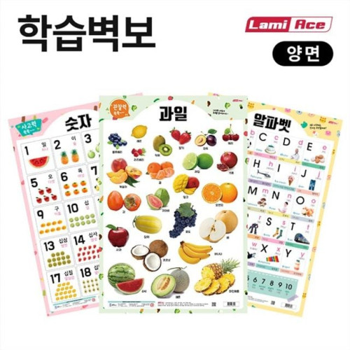 양면학습벽보 한글 라미에이스
