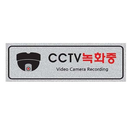 펄사인 CCTV녹화중/돔 5016 (250X80mm) 펄아크릴